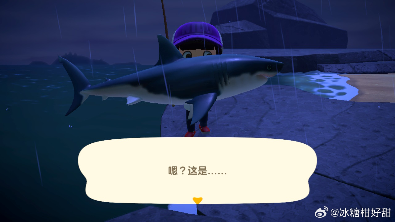 今天的大收获