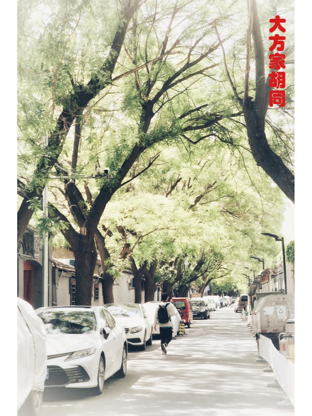 胡同系列37---大方家胡同