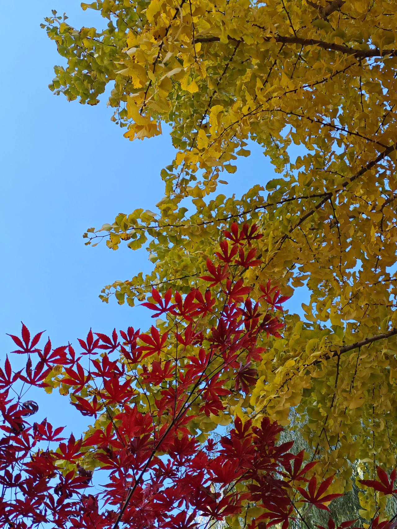 蓝天绿树见证我们牵手！