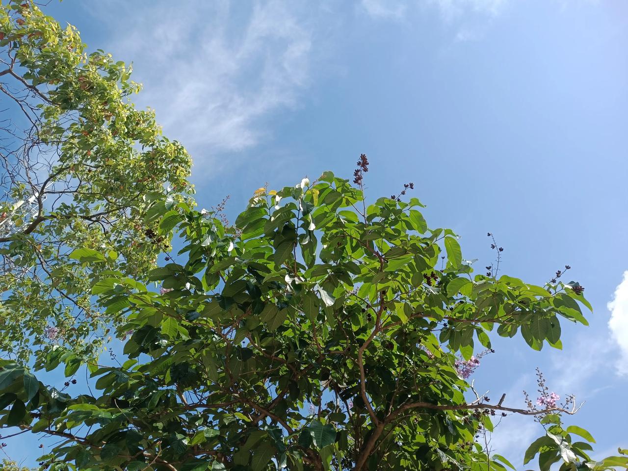 分享一张你最近随拍的照片
买菜路上随手拍
今天天气晴朗，阳光明媚
气温十分舒适！