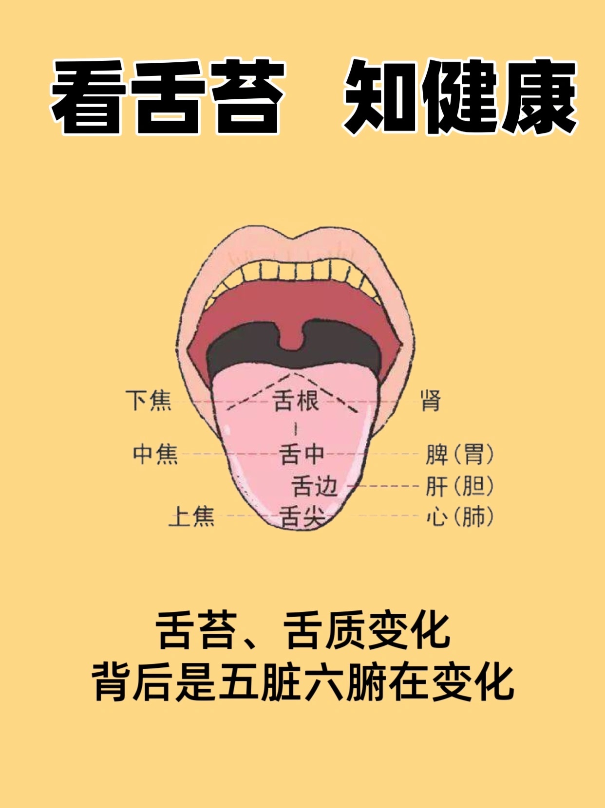 看舌苔，知健康！ ​​​