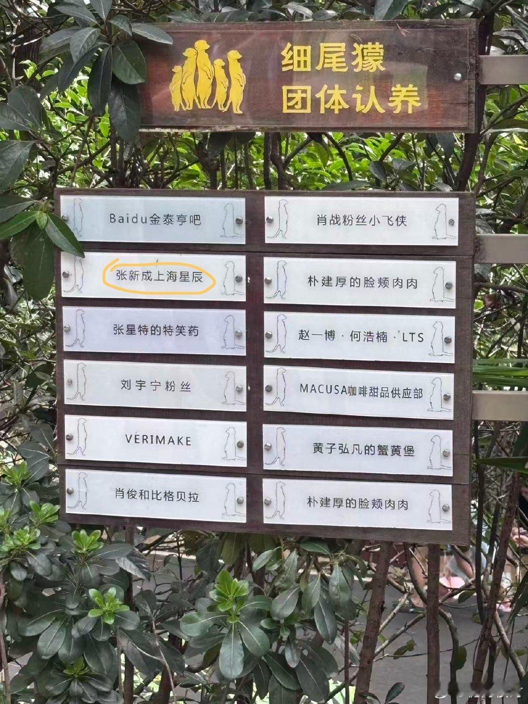 原来星辰还认养了这些吗 ​​​