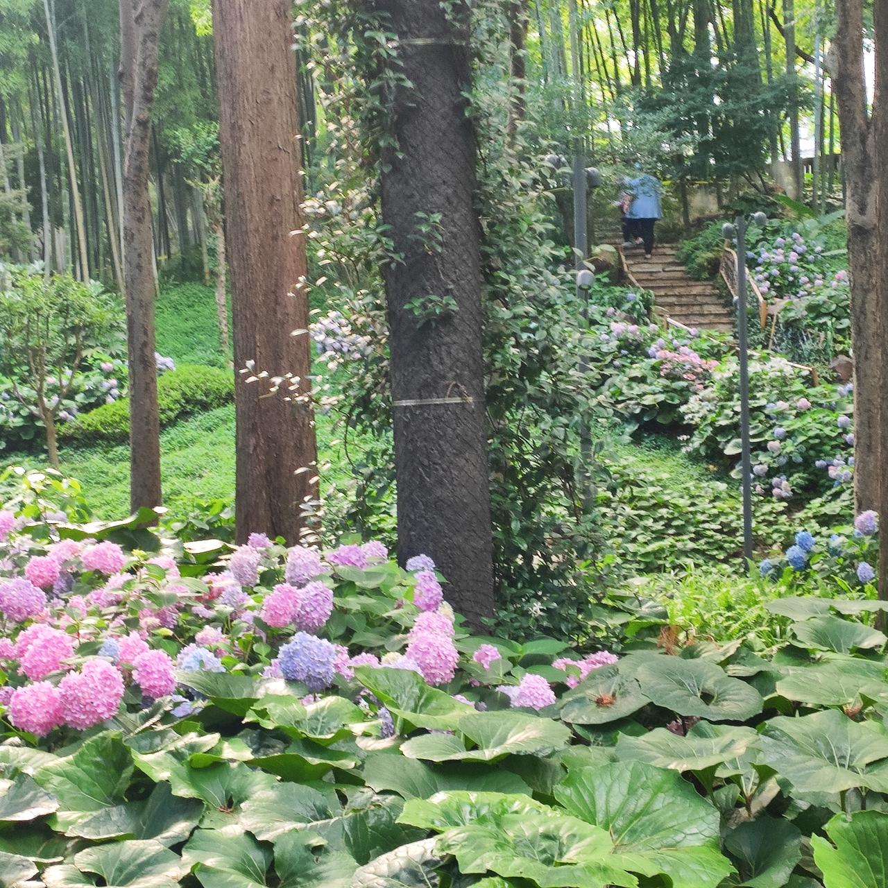 我看你如花
你笑我是渣
你纯如金莲
我只是偶采野花
考验仅仅是一种自慰
经不起风