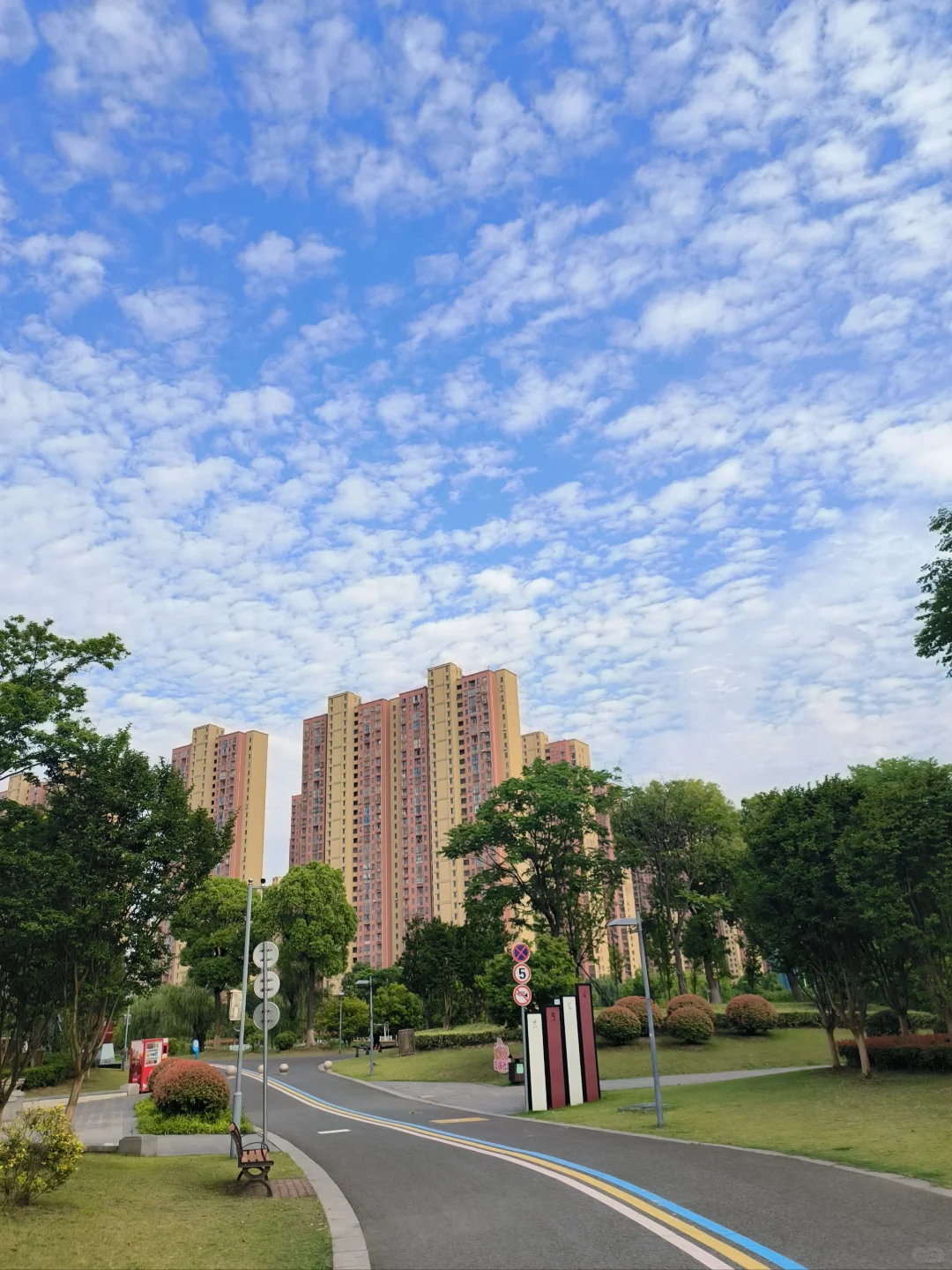 真的我哭亖，税务ju真应该给我们财务发工资