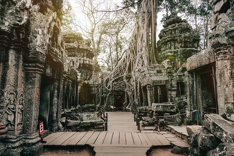 穿越时空的古老寺庙，树根缠绕的神秘气息。