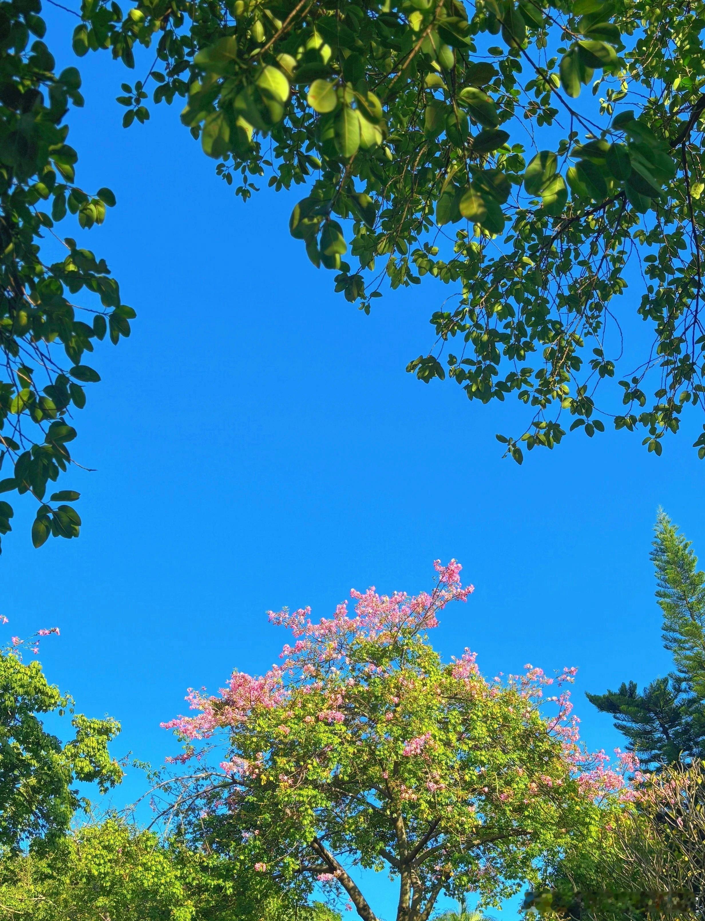 股权，从来都不是一成不变的。企业发展不同阶段，都要对股权结构进行动态调整常见的股