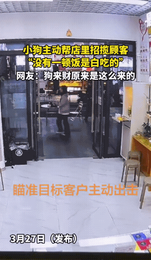 小有小的好处，再大一点可能就会吓着人了。
不是白吃食的，它也是努力的招财……