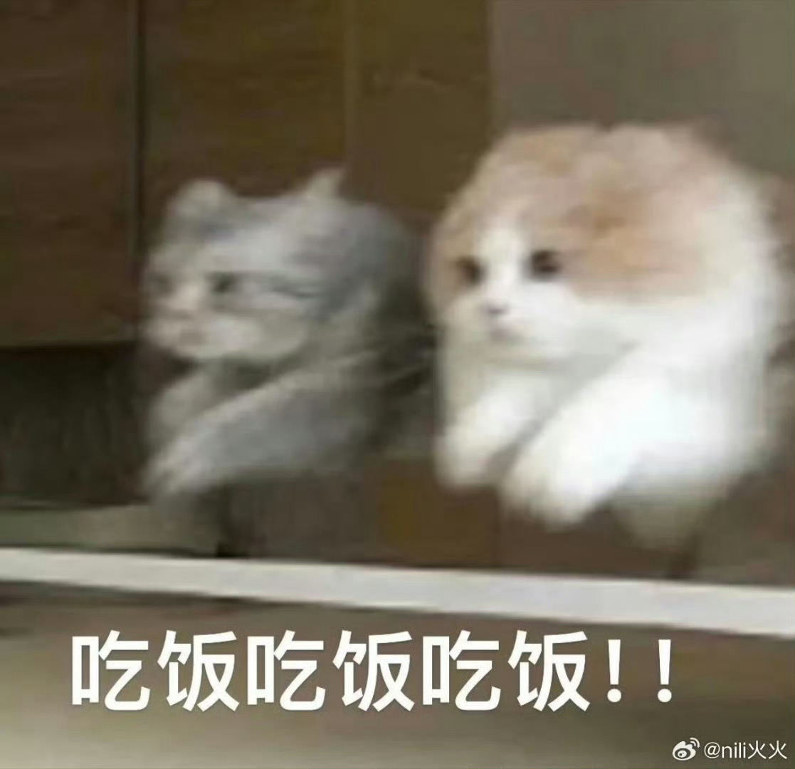 干饭时间！晚上你吃啥？