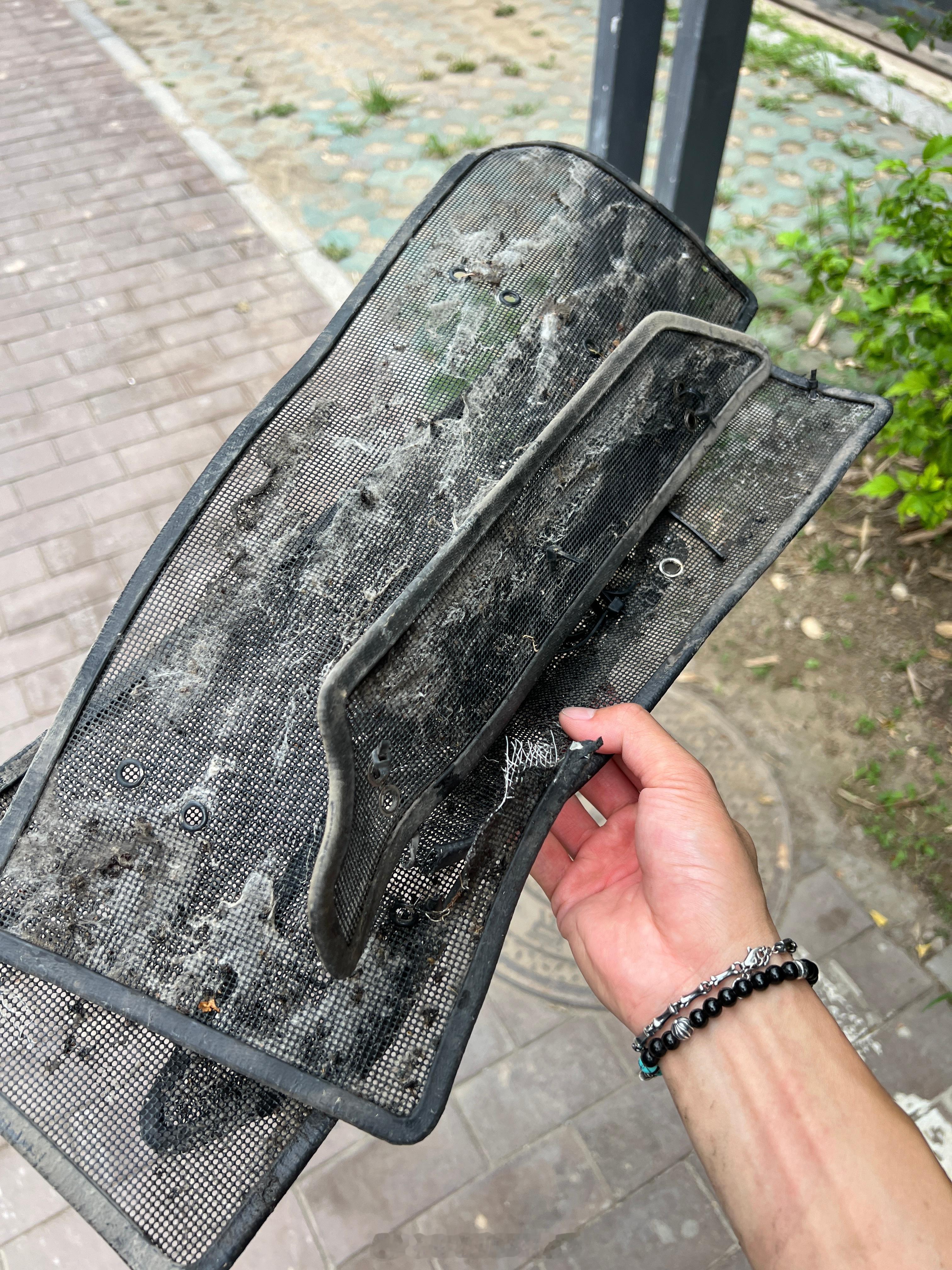 前两天看了韩哥的节目，实测防虫网的“阻风”效果，结果真是心惊胆战！这不，终于下定