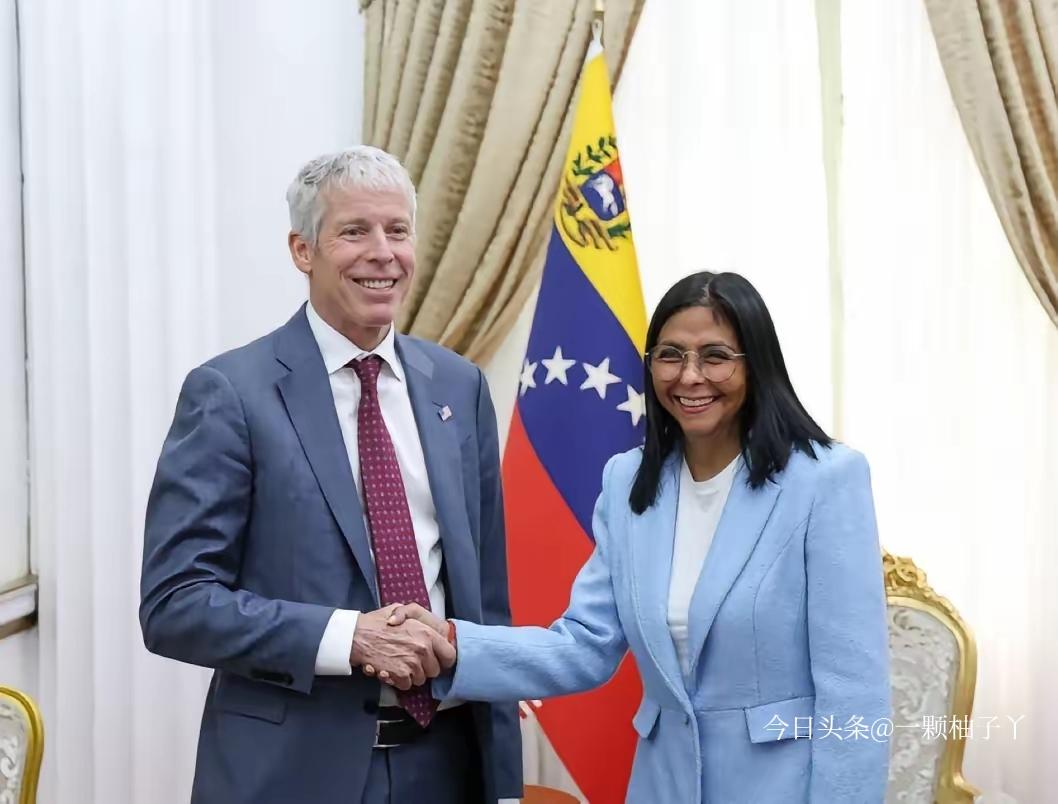 委内瑞拉代总统罗德里格斯展开了一场力度极大的内部整顿，事件真实可查。她以叛国罪、