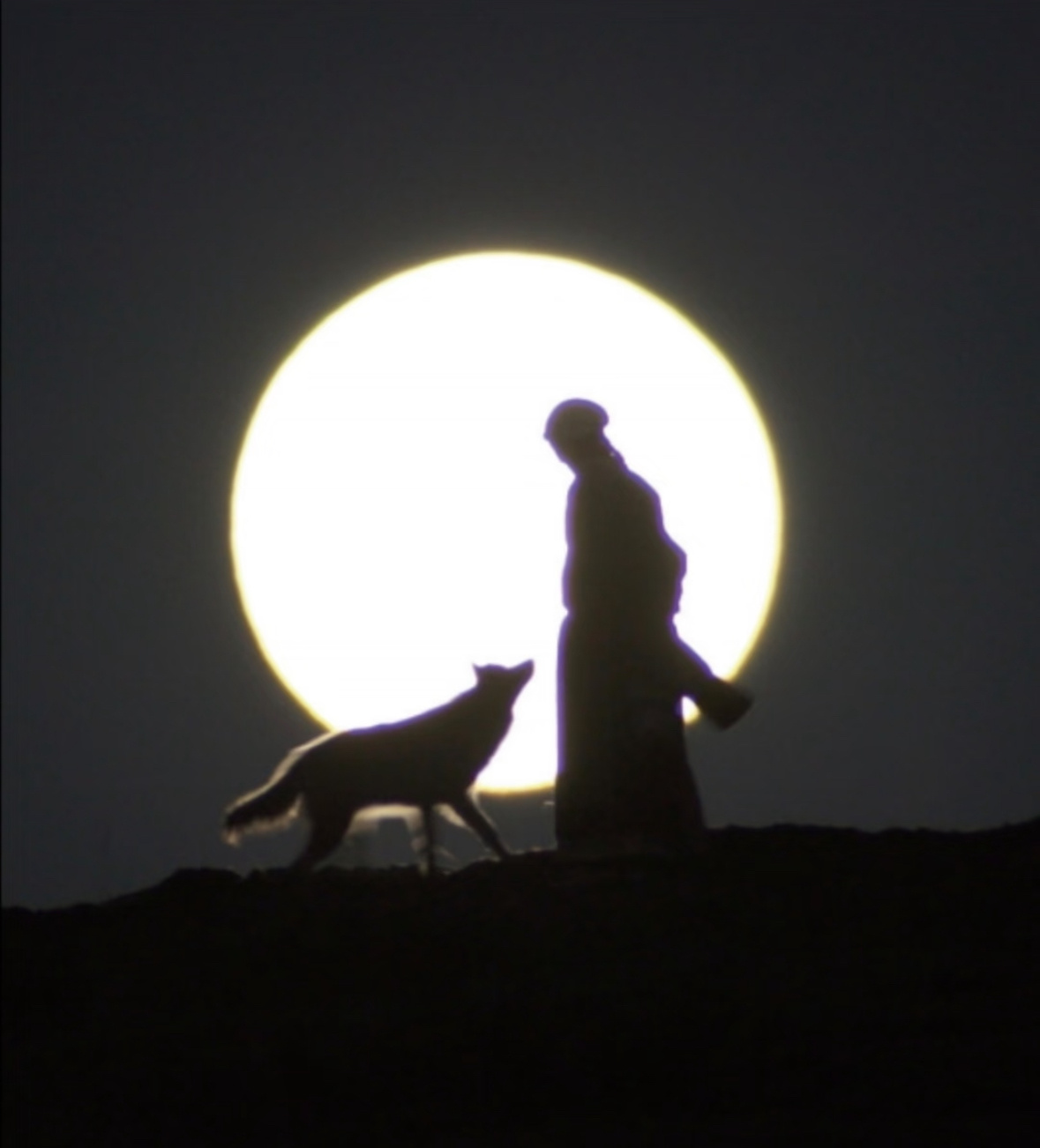 格林不在了爱着你，像心跳，难触摸李微漪的唯一：格林“狼是风之子  亦风拂过  微