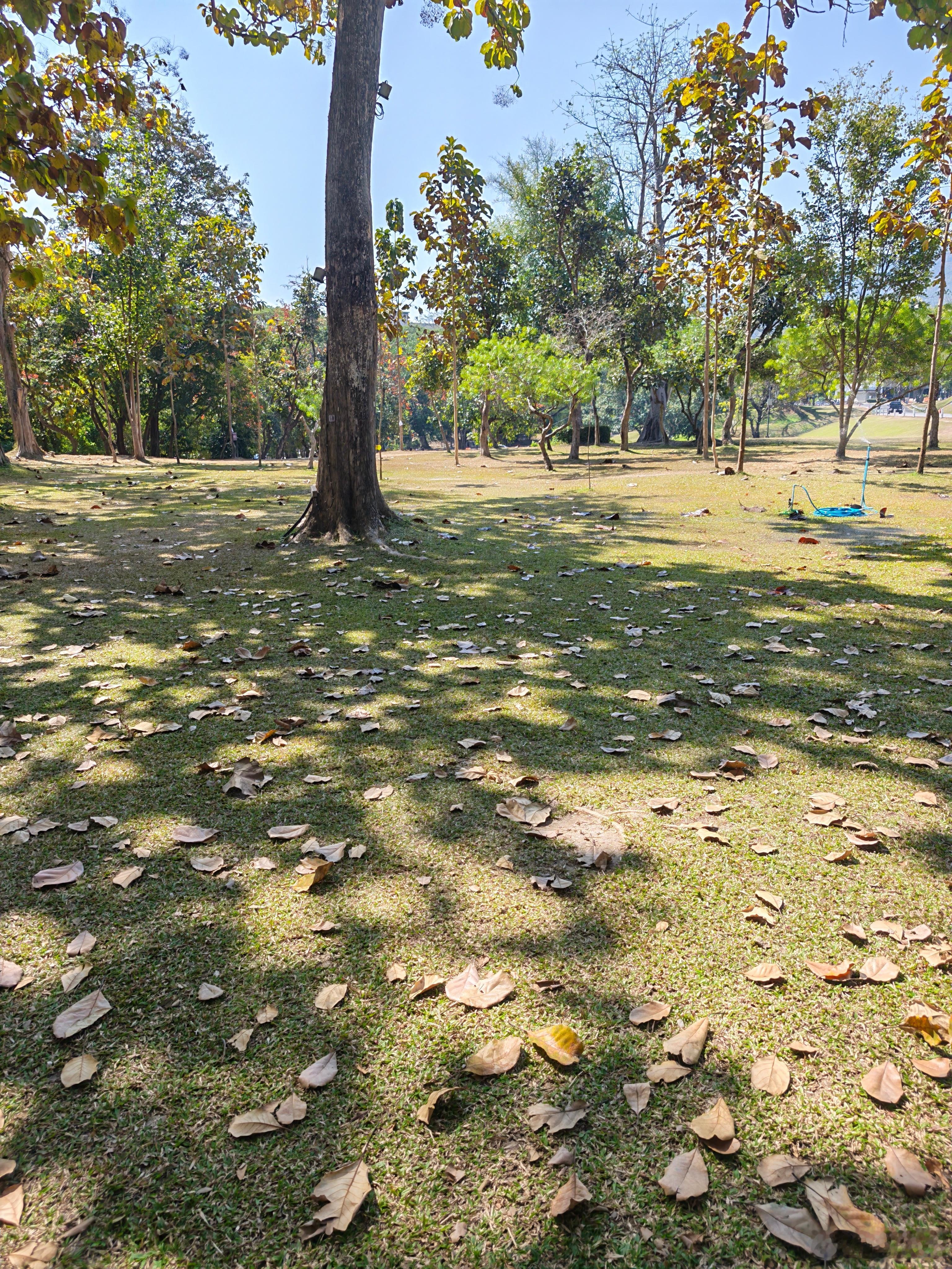 清迈大学就不用预约，完全开放，随便进 泰国·Chiangmai universi