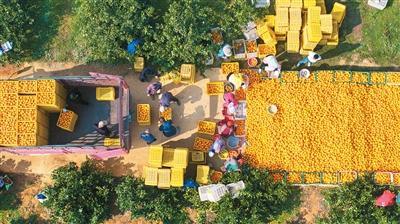 以下为2025年12月24日核心新闻速览，按国内要闻、财经科技、文体与地方进行分