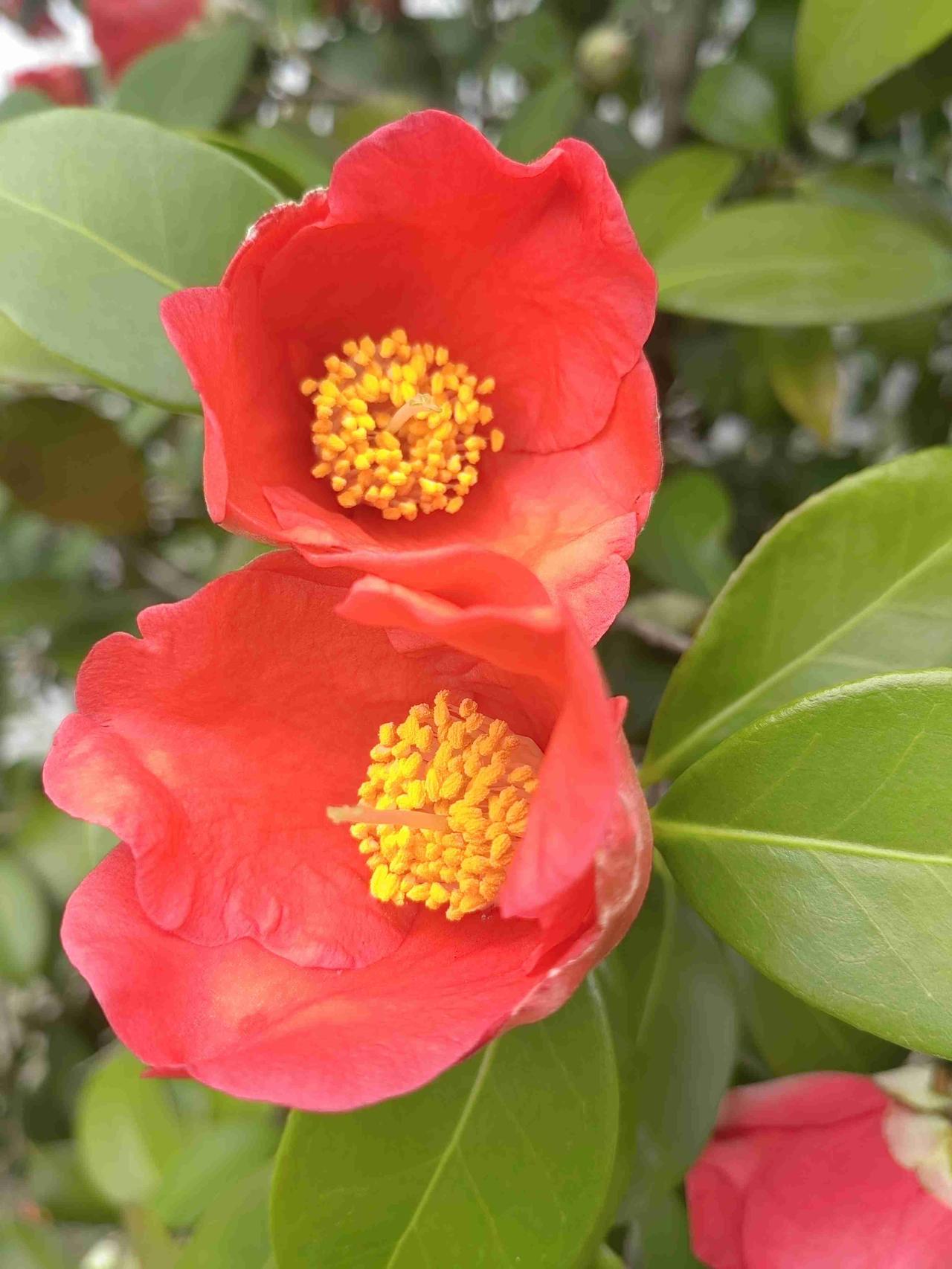 我的今日状态：😁轻松愉快
我这里的天气：☀️晴天