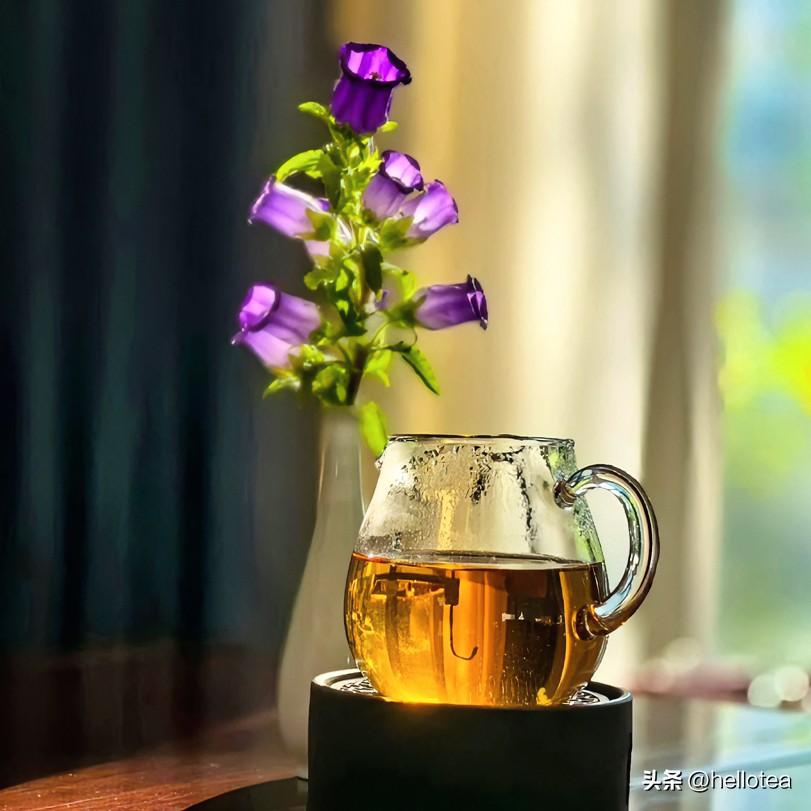 《知足绝句》
沸水倾杯叶自旋，半痕清味即真筵。
人生何必求千盏，一盏澄心胜万钱。