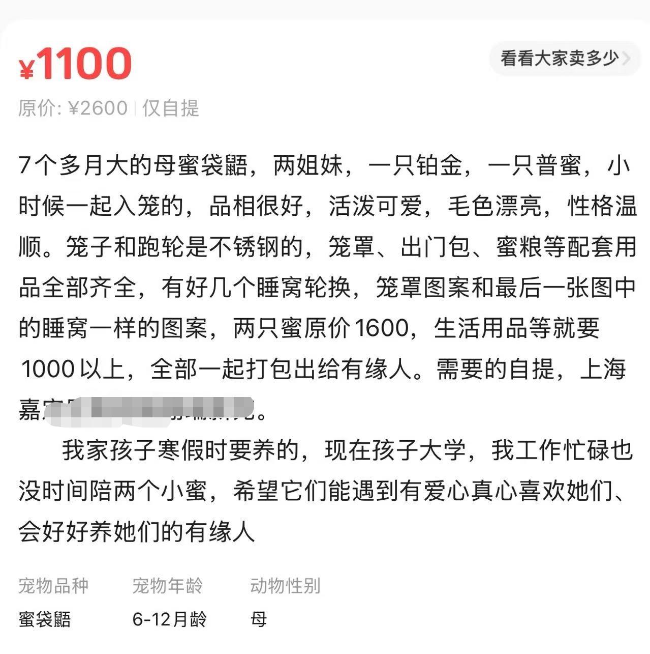 你们会花1000块钱买两只宠物吗？

我们小区群里有人在卖蜜袋鼯宠物，说自己家人
