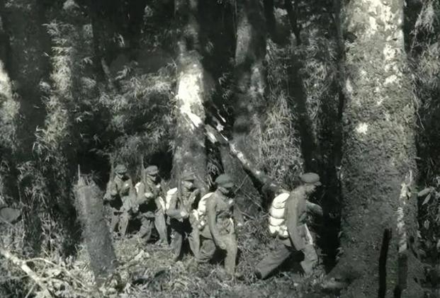 “班长，你快看我发现了 什么！”1956年 ，一支解放军在云南的原始森林深处发现