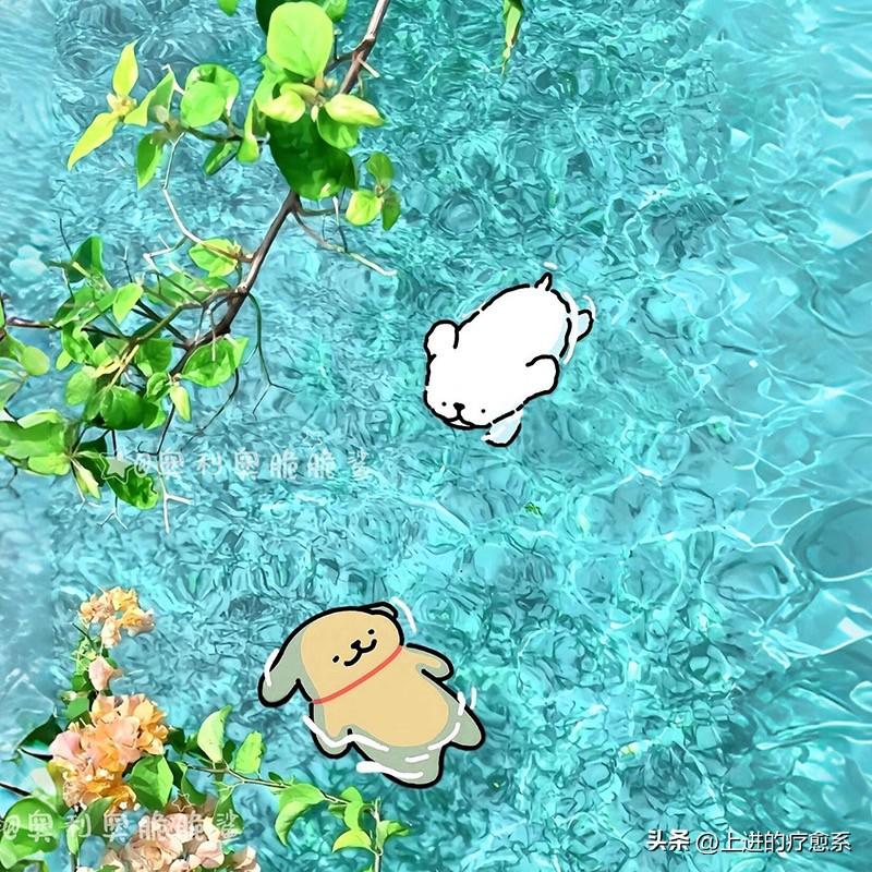 «如何与十二星座谈一场【不分手】的恋爱» 

白羊座♈：有话不要藏在心里

白羊