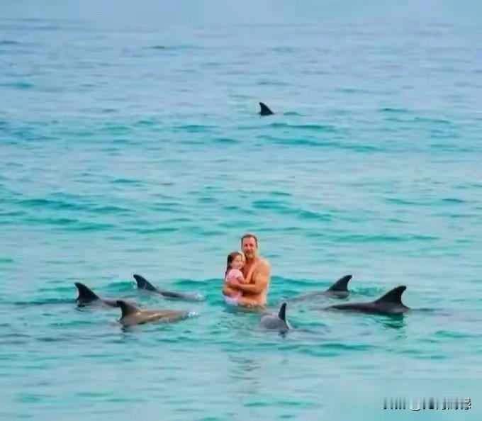 海豚救人的画面，让人见证了这种动物真是有灵性的。画面中的这两个人在大海中游泳时，