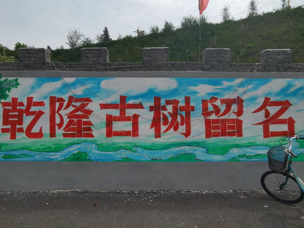 感谢网络，看到了如此隐蔽难找的五百年古流苏树。

看到网上说承德市双滦区长北沟村