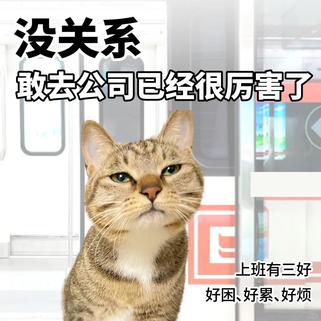 横扫假期 坐回牢里