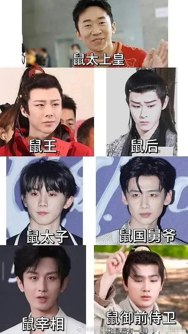 内娱鼠系大比拼 鼠王还是太权威 