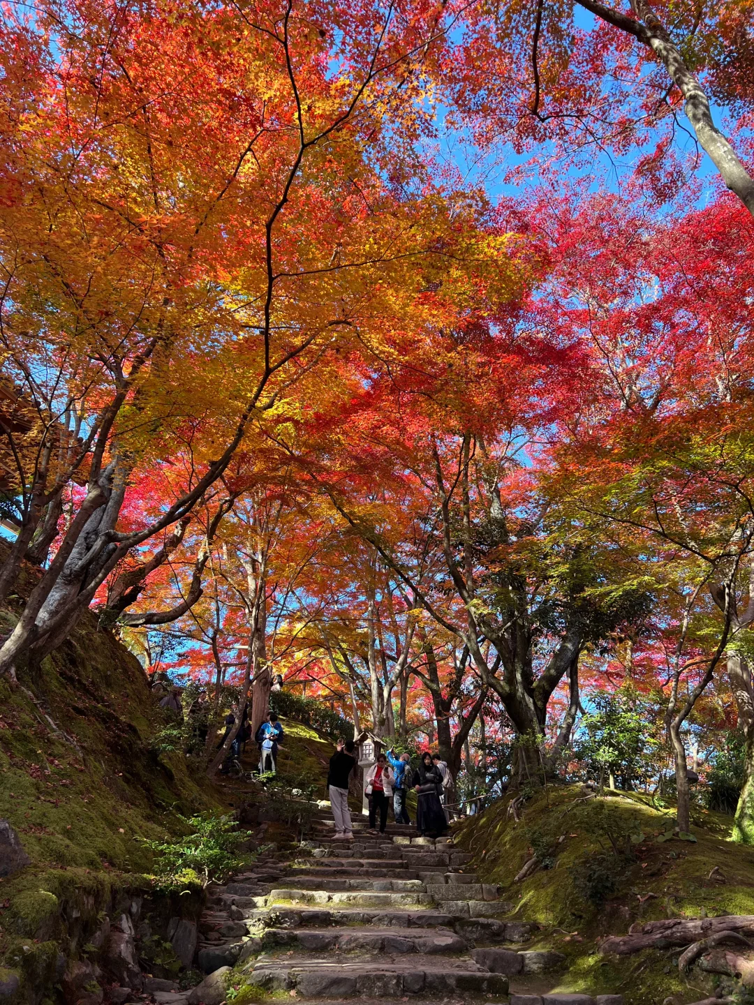 🍁｜京都岚山｜12月2日的常寂光院｜太美了