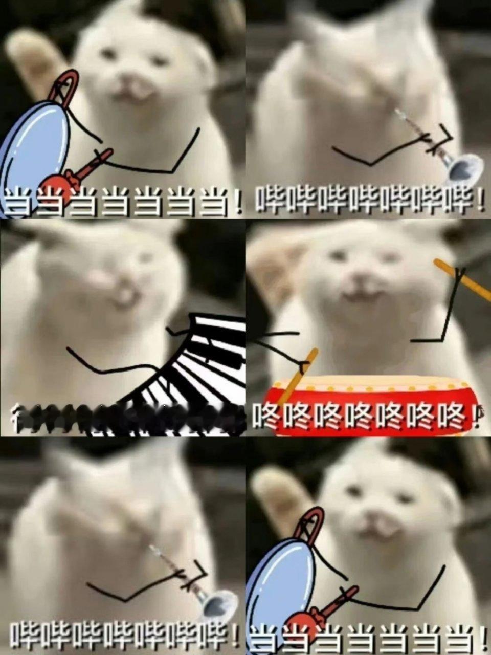 我就这样给好友圈里每一个抢到票的互关说恭喜。 