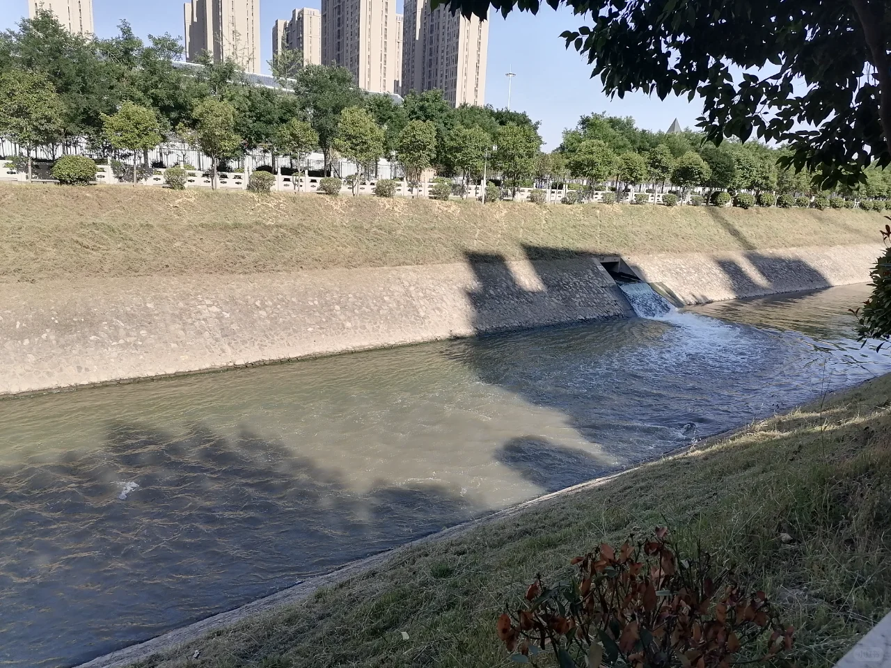【老羊说楼市】近日有网友建议提升西安皂河北段绿化，优化环境；官方回应：该区域暂未...