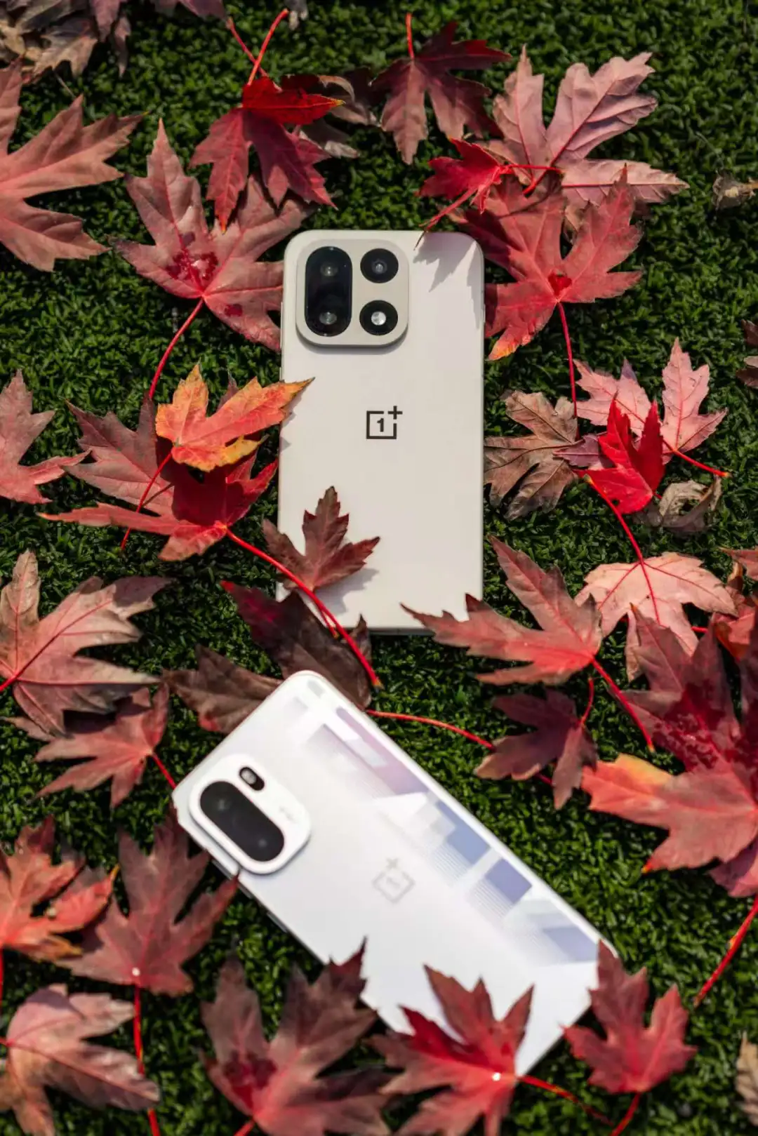 一加这次的双旗舰，真的把我香迷糊了！