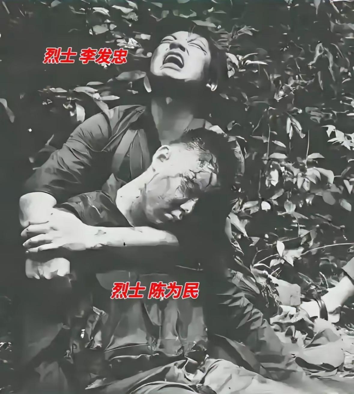 这是一张令人伤心泪奔的照片。陈为民、李发忠二人是山东临沂市同村发小，同天入伍，同