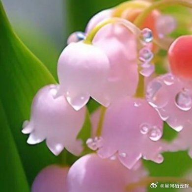 阳光信用 人之初，性本善。 上善若水，大爱无疆。 慈心为民，善举济世。 无缘大慈
