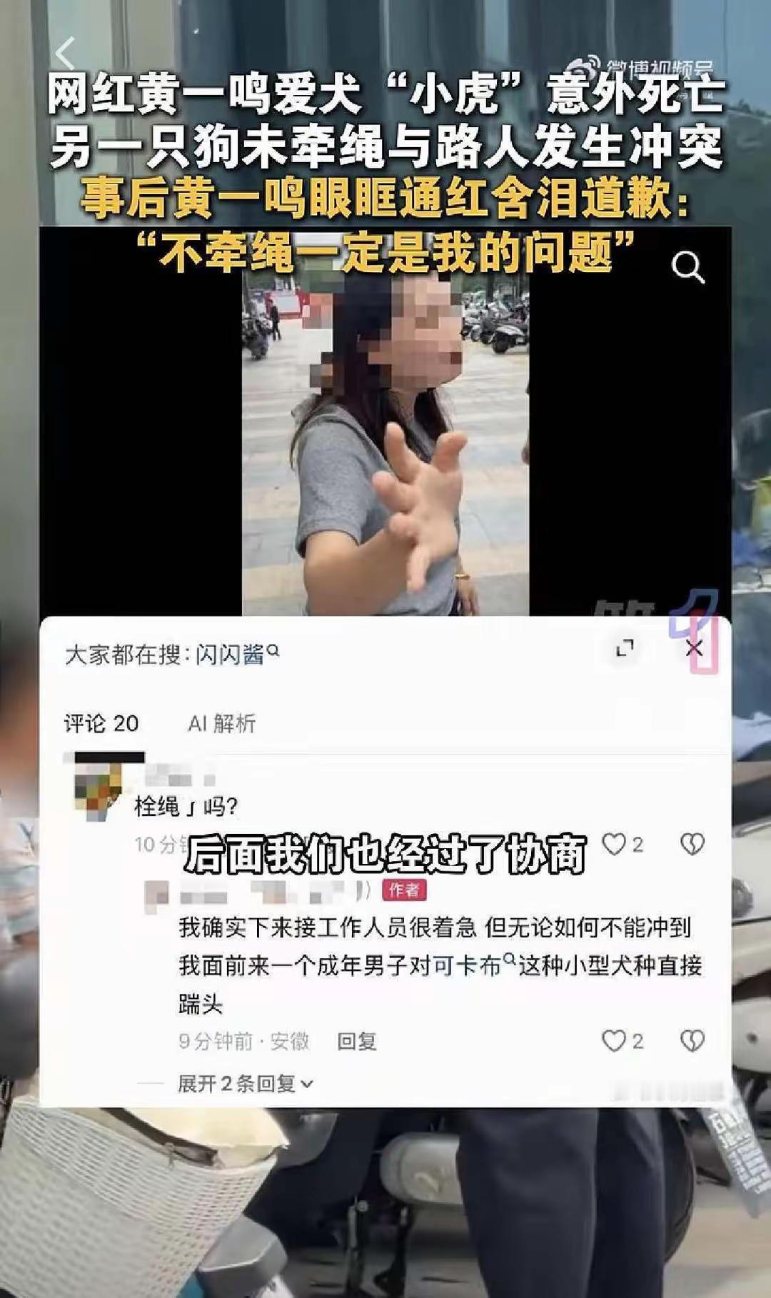 网红黄一鸣发现爱犬离世。去楼下接殡葬人员，另一只狗未牵狗绳，碰到女性路人，女子的