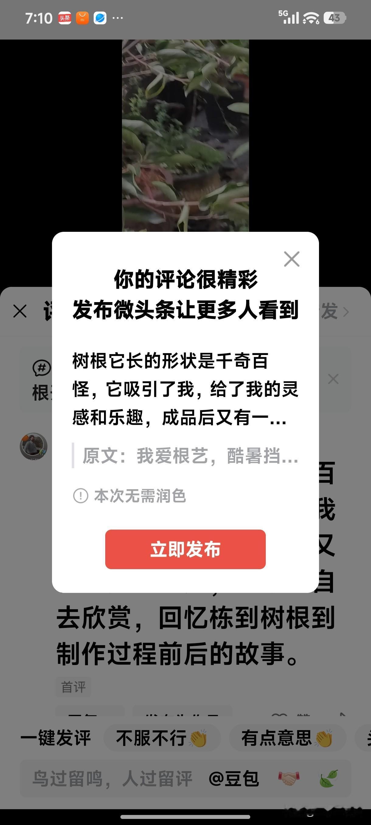 我爱根艺，酷暑档不住。
   [微风][微风][微风][捂脸][微风][微风][