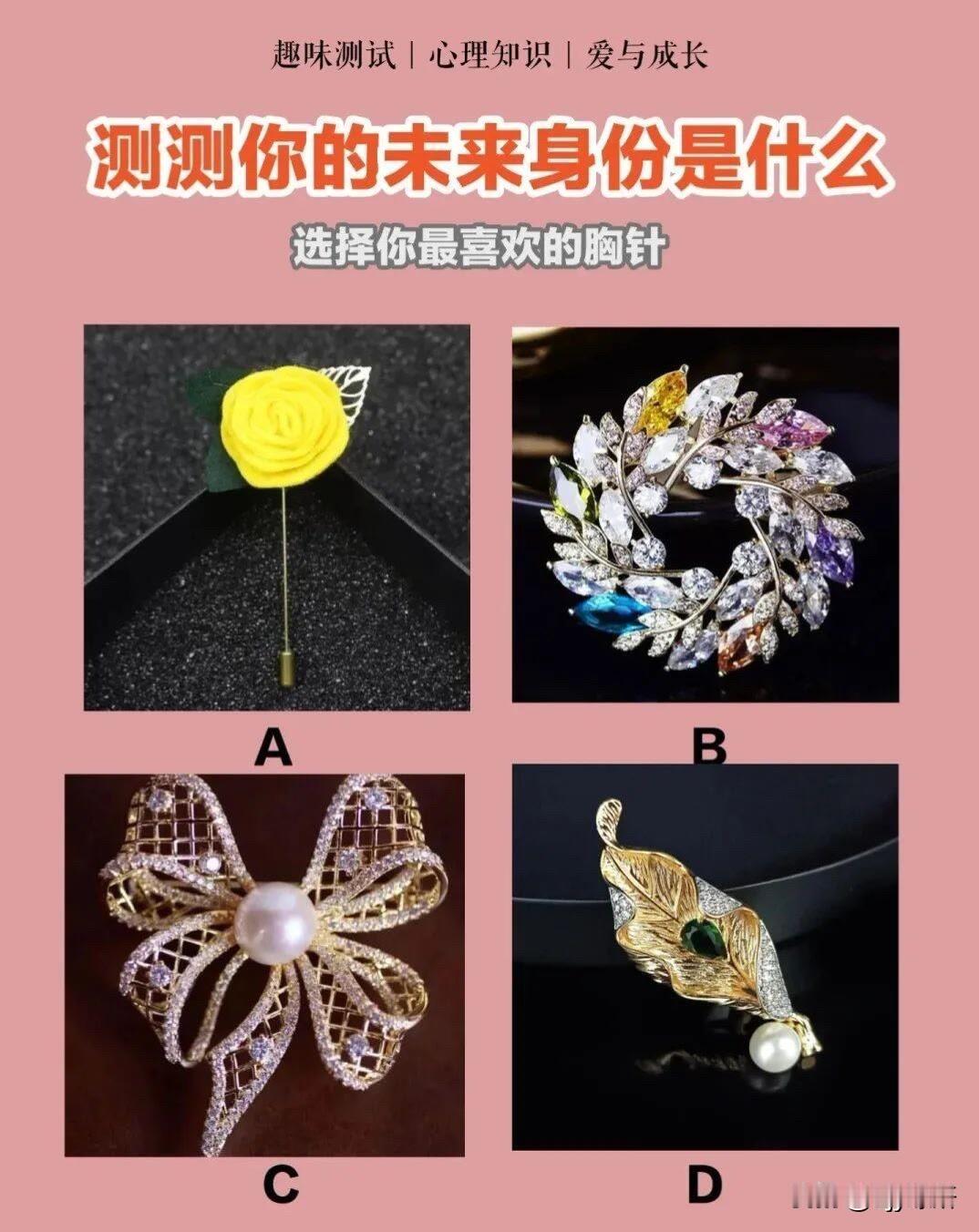 选择你最喜欢的胸针