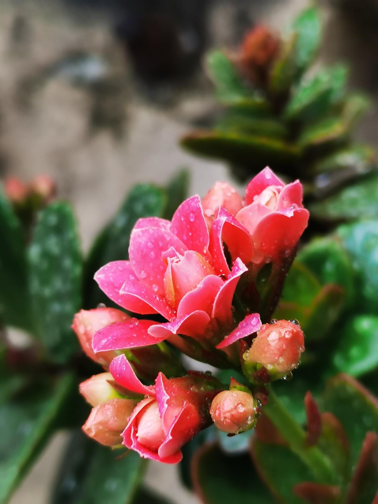 有人说，幸福是升职加薪、环游世界、夜夜笙歌！错了。
成年人的顶级幸福，其实是——