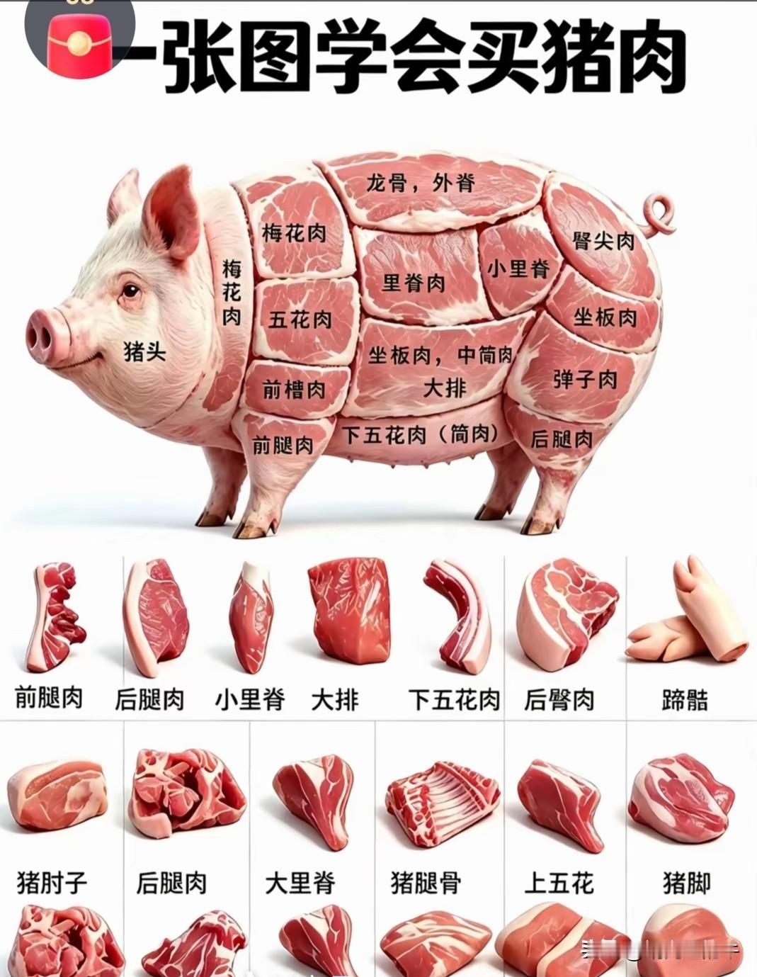 这张图片真牛，
把一头猪给大家说的明明白白！
整天吃猪肉。竟然傻傻分不清好多年！