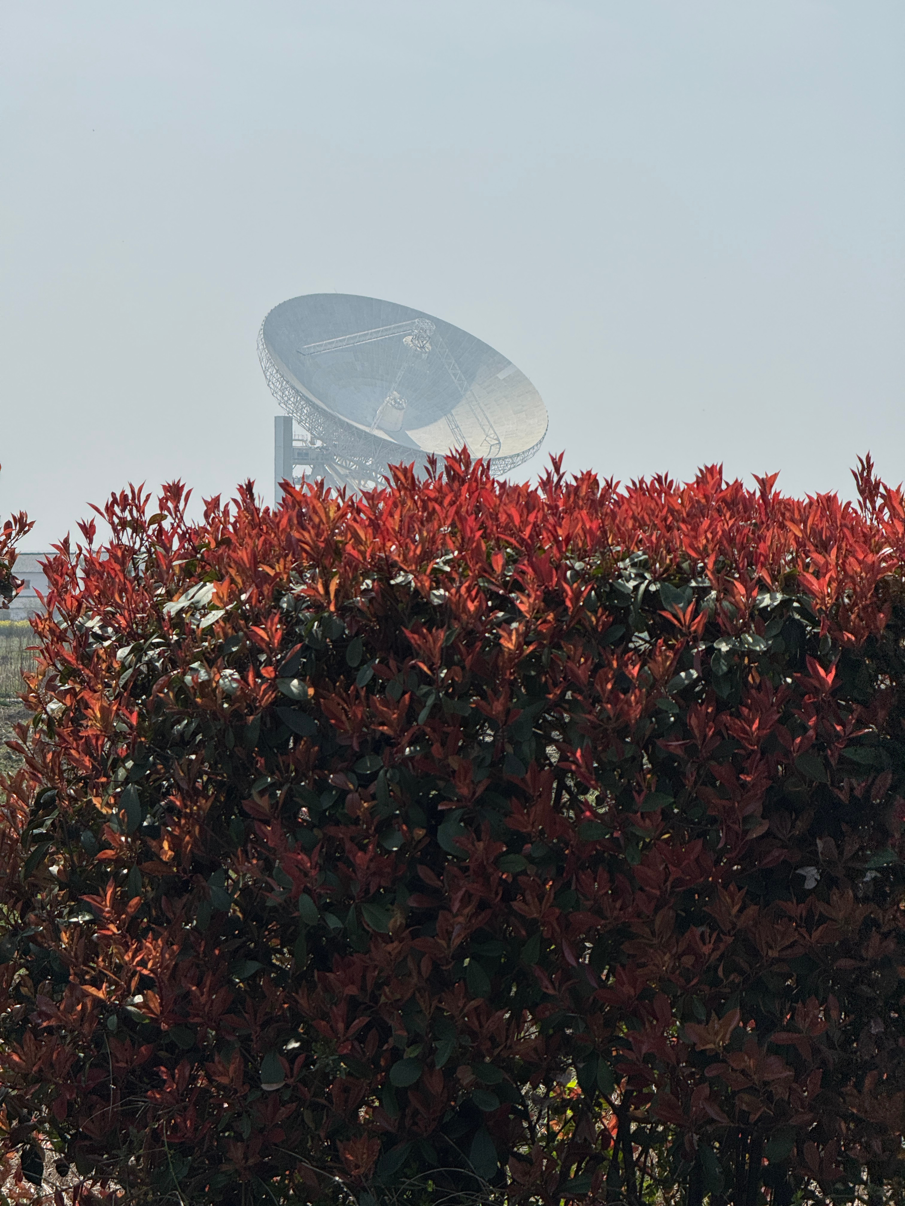 公公每天对着这口大锅，现在对天文知识应该了如指掌了吧。 