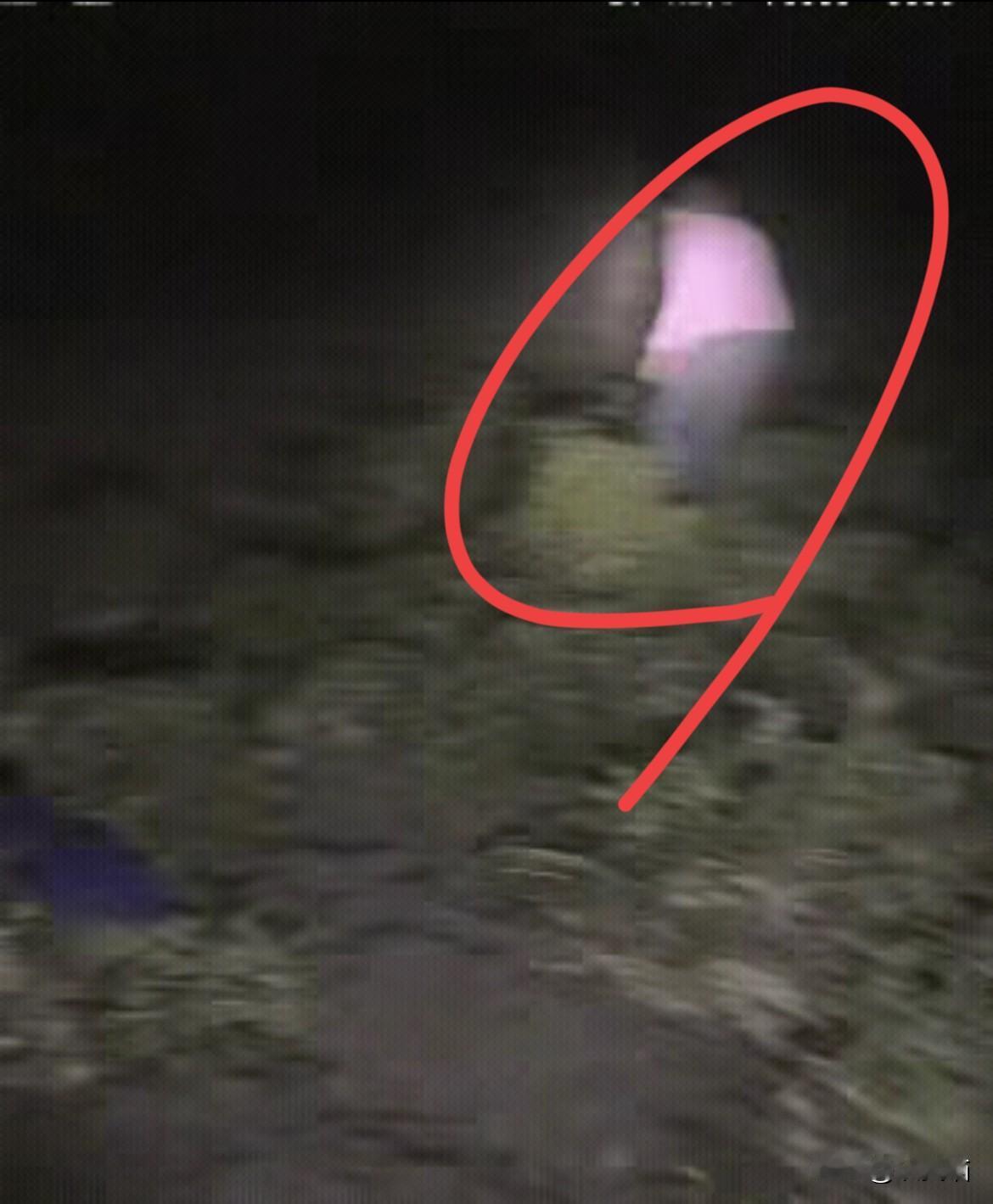 笑不活了！
安徽这位大姐治偷花生的法子，
简直把“以退为进”玩明白了！

   