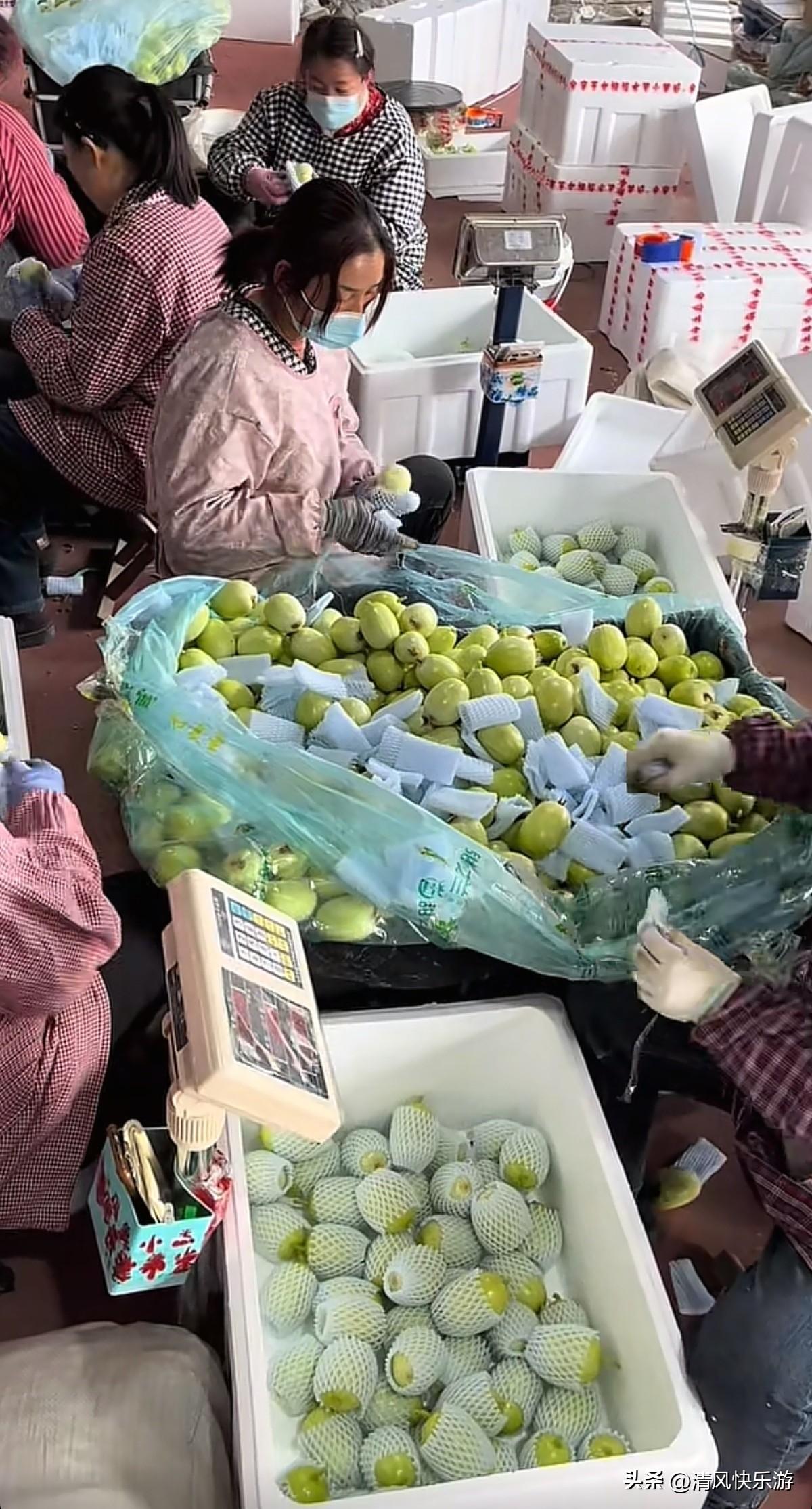 一个人在家做电商，今天要崩溃了，从早上六点一直干到下午五点半，还剩最后120单，