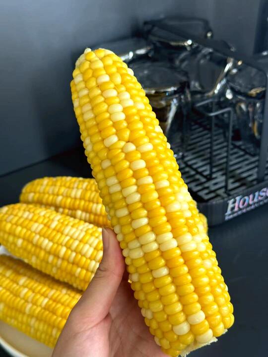 想告诉全世界，这是最好吃的玉米🌽