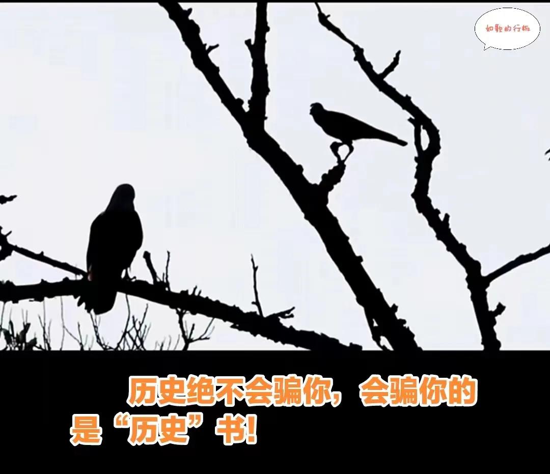 历史与历史书#为什么读历史#