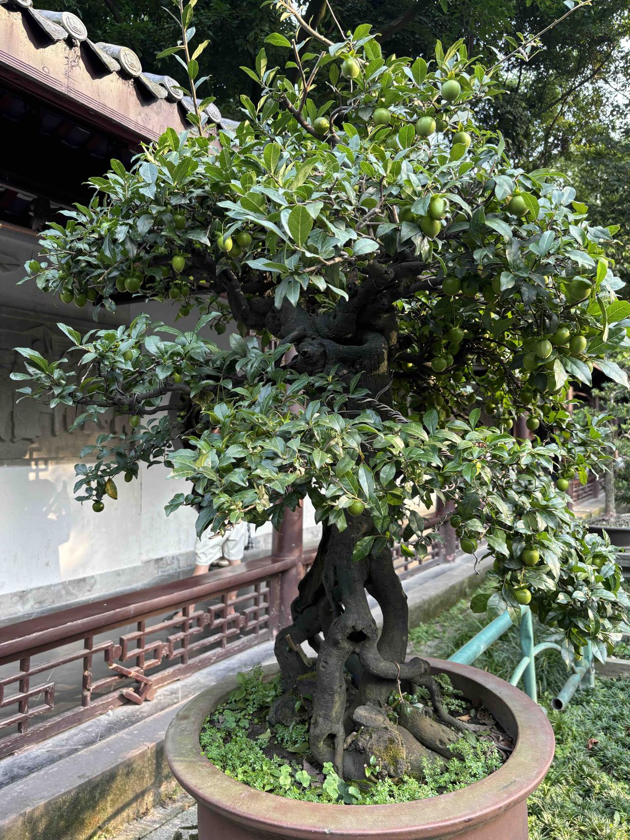 课后延时服务老师能从中赚到钱，为什么还有很多人想取消它？无非是以下几种原因：
1