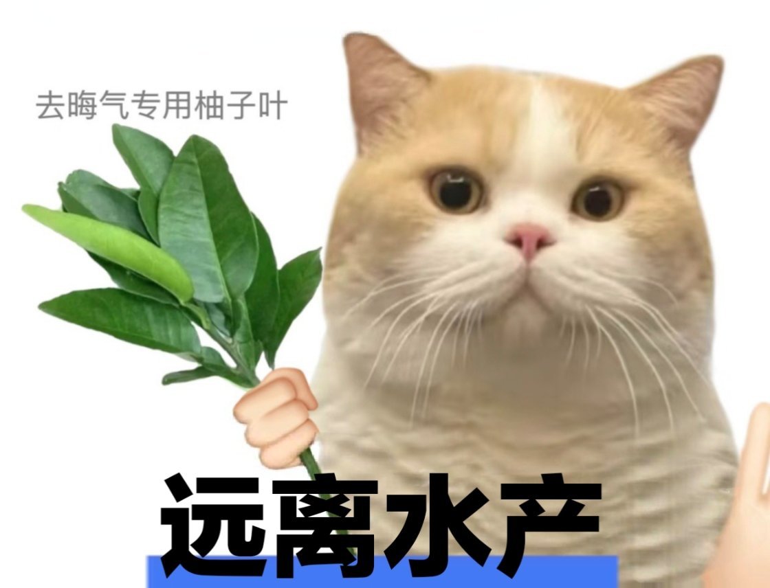 自家破自行车懒得多看一眼，别家超跑倒成了命根子，恨不得趴人车库玻璃上偷窥。日常就