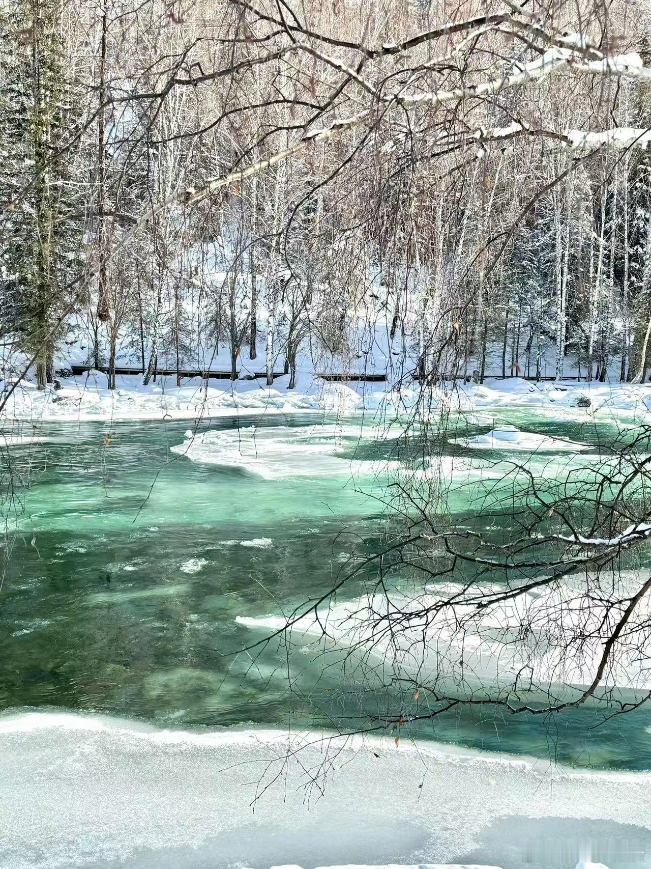 颠簸的生活被阿勒泰的雪景治愈  在阿勒泰的雪原上，每一步都能感受到大自然的力量。