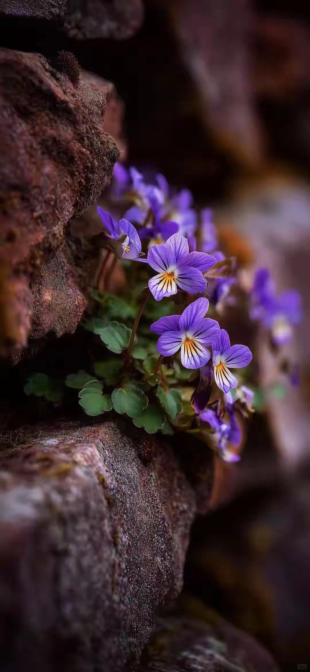家人被警察带走，糊涂人还在找关系，聪明人只做这3件事

一位著名律师说：警察突然
