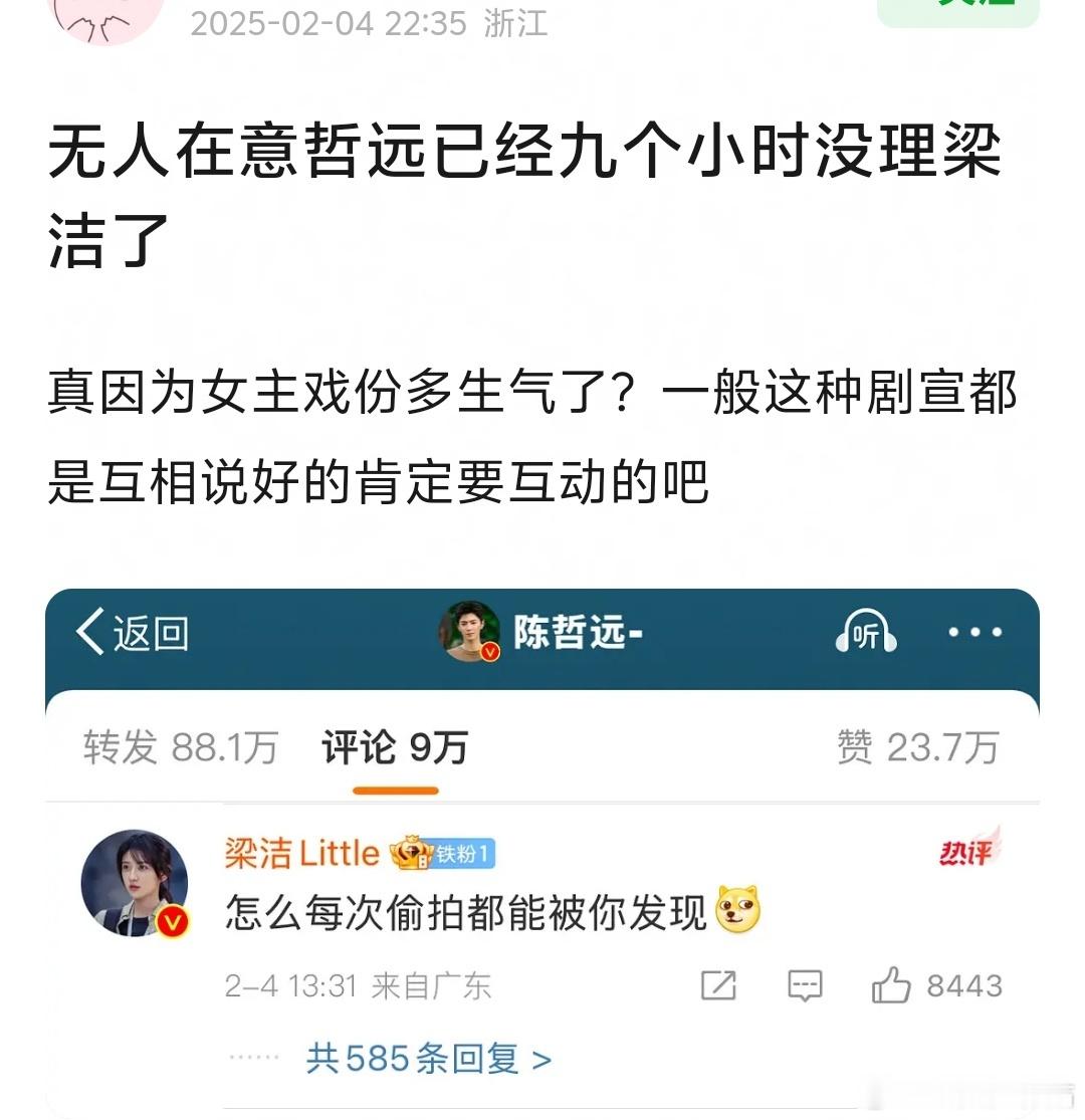 陈哲远、梁洁的《白色橄榄树》播的不好抬走了。主演之前一直积极互动，现在陈哲远都不