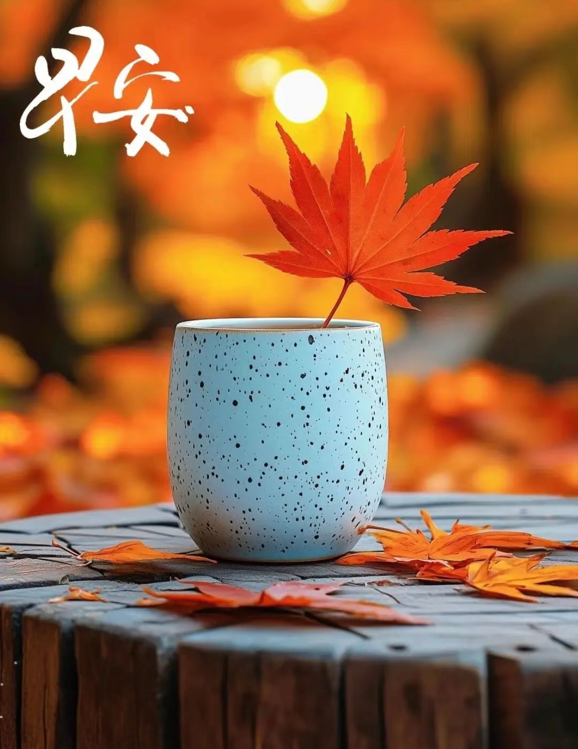 心怀美好，人间皆是浪漫。愿新的一周过得慢一些，愿你收获被爱、惊喜、例外和好运！新