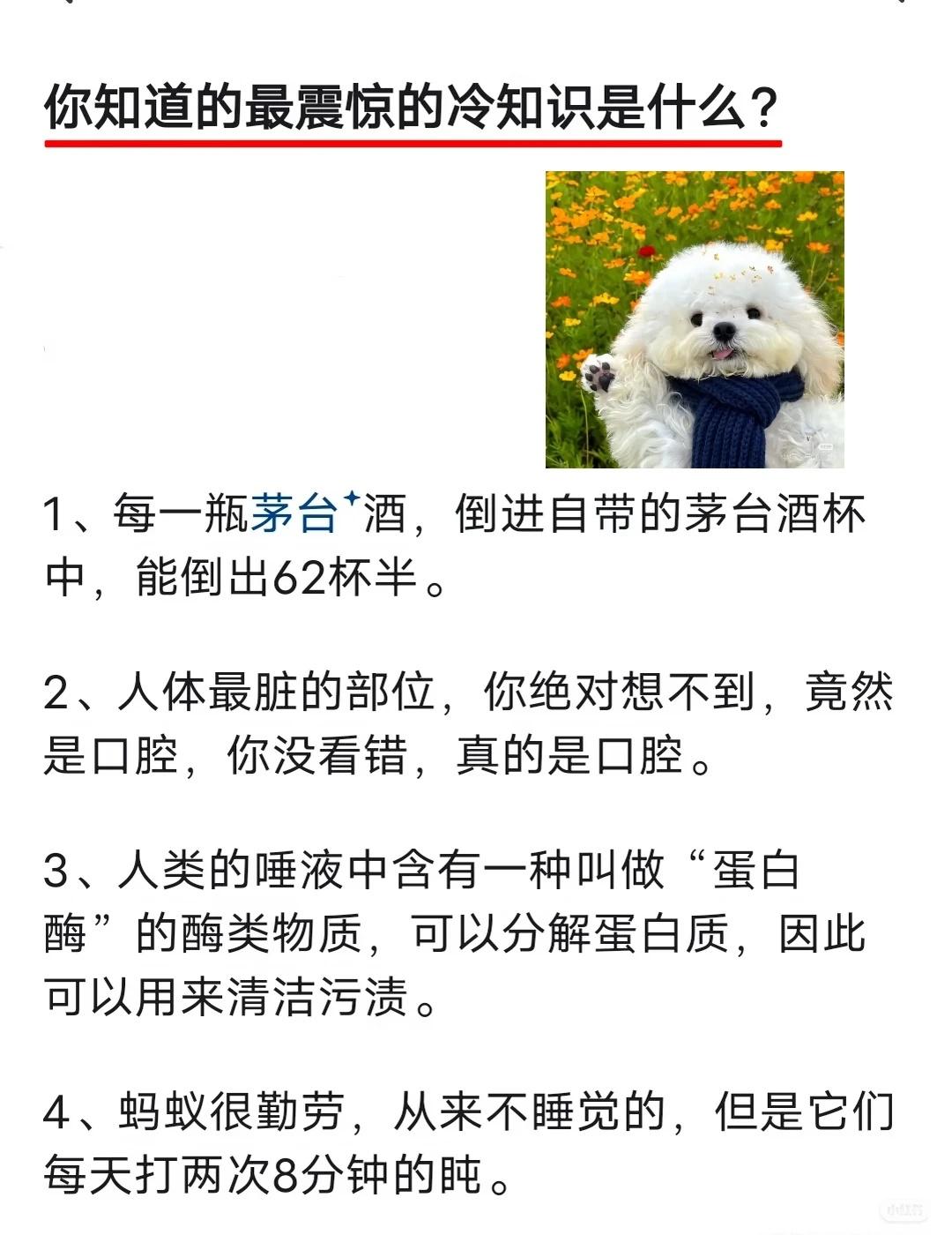 你知道的最震惊的冷知识是什么？
howto奶茶兑酒 测试话题005 神奇的知识 