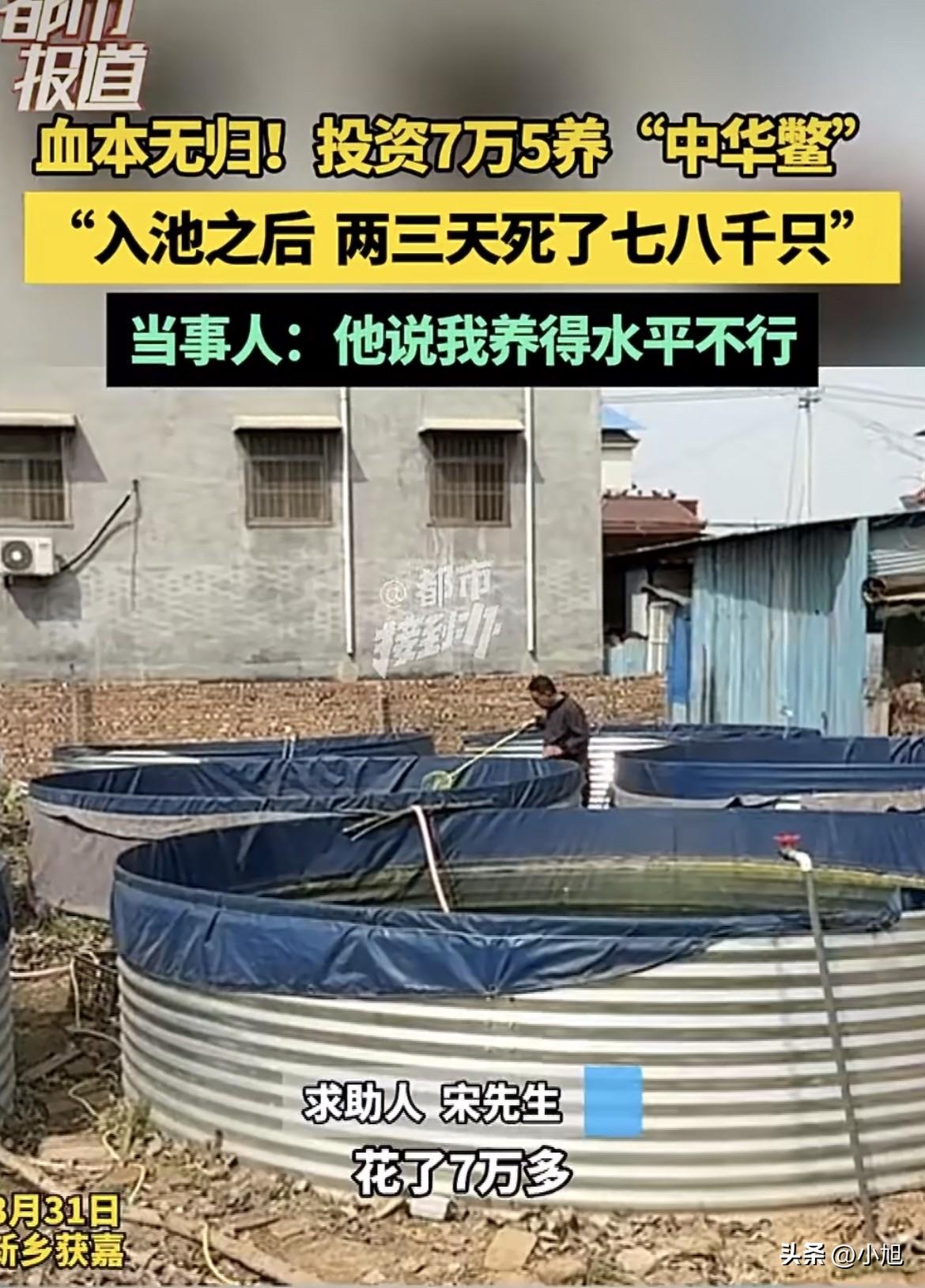 “也不想想为什么暴利的事情会找你呀”，河南的宋先生投了七万五千块，养了一万七千只